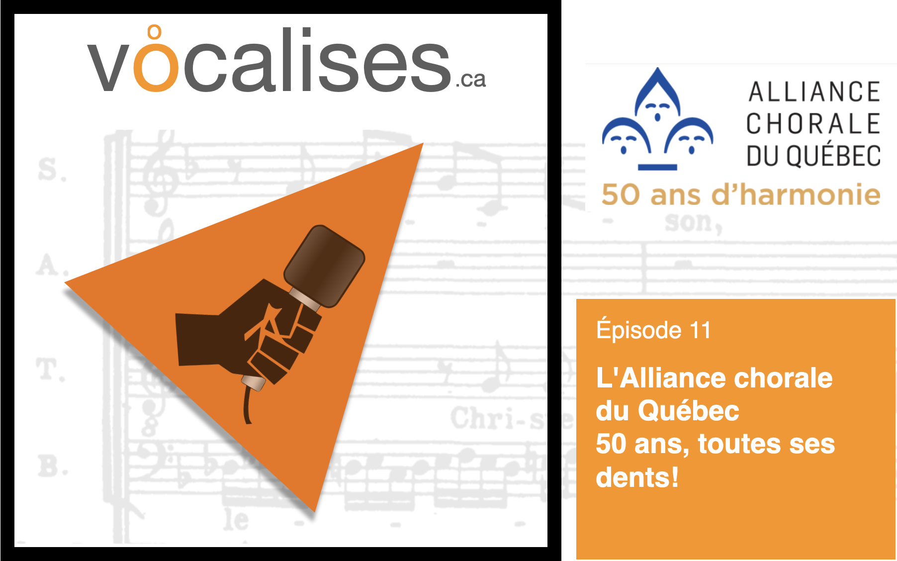 Alliance chorale du Québec - vocalises.ca